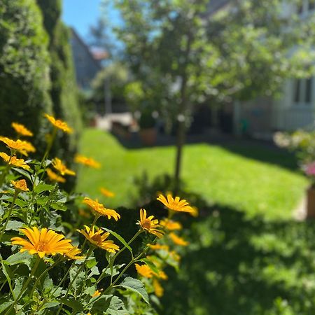 Hotel Villa Solln München Ngoại thất bức ảnh